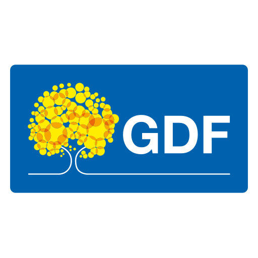 GDF — Governo do Distrito Federal